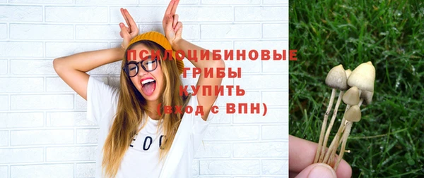 a pvp Белая Холуница