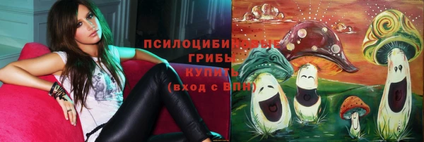 СК Михайлов