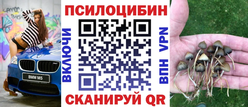 Галлюциногенные грибы Magic Shrooms  Болотное 