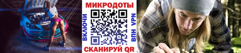 Псилоцибиновые грибы Cubensis Болотное